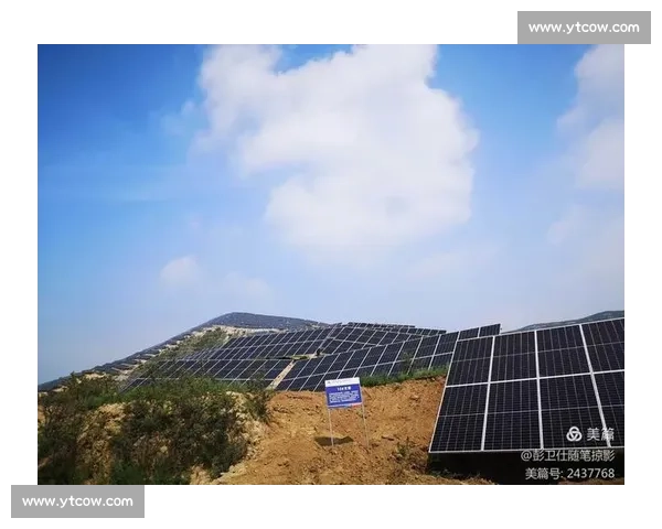 带伤作战精神引领逆境突围锻造铁血担当与胜战意志品格与使命追求